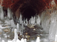 lodsnieg_297