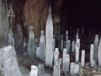 lodsnieg_298