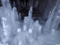 lodsnieg_300