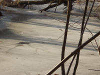 lodsnieg_306