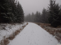 lodsnieg_308