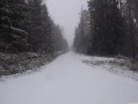 lodsnieg_309