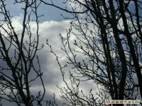 niebo_0061
