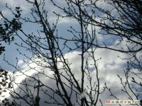 niebo_0062