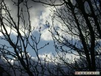 niebo_0064
