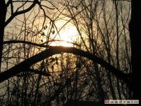 niebo_0072