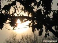niebo_0076