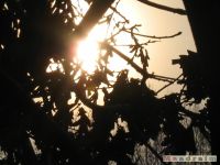 niebo_0077