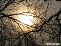 niebo_0078