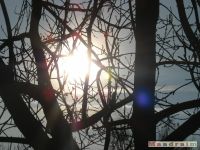 niebo_0080