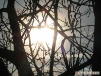 niebo_0081