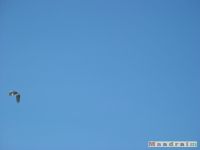 niebo_0084