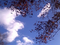 niebo_0221