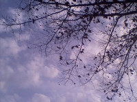 niebo_0231