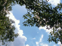 niebo_0273