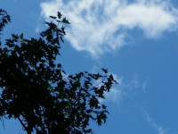 niebo_0286