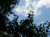 niebo_0287