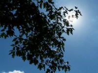 niebo_0305