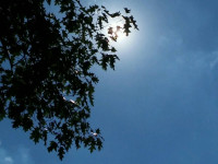 niebo_0306