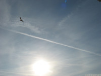 niebo_0330