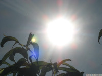 niebo_0347