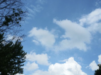 niebo_0449