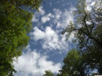 niebo_0814