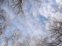 niebo_1036