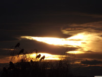niebo_1040