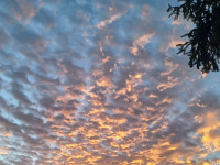 niebo_1079