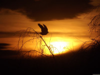 niebo_1094