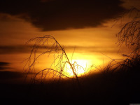 niebo_1095