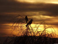 niebo_1096