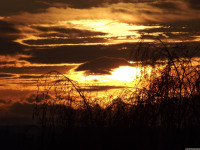 niebo_1180