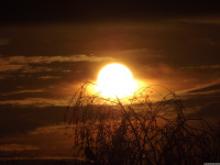 niebo_1181