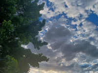 niebo_1203