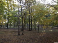 ogrpark_025