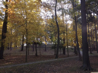 ogrpark_027