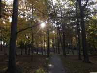 ogrpark_028
