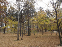 ogrpark_035