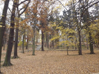 ogrpark_036