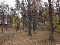 ogrpark_037