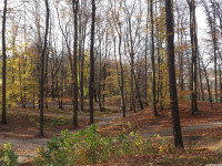 ogrpark_038