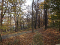 ogrpark_041