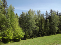 sudgw2024maj05