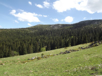 sudgw2024maj28