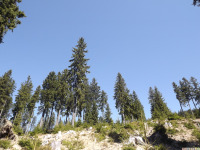 sudgw2026maj09