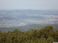 sudgw2026maj49