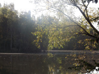 woda_290