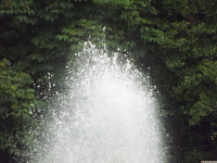 woda_303